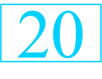 20